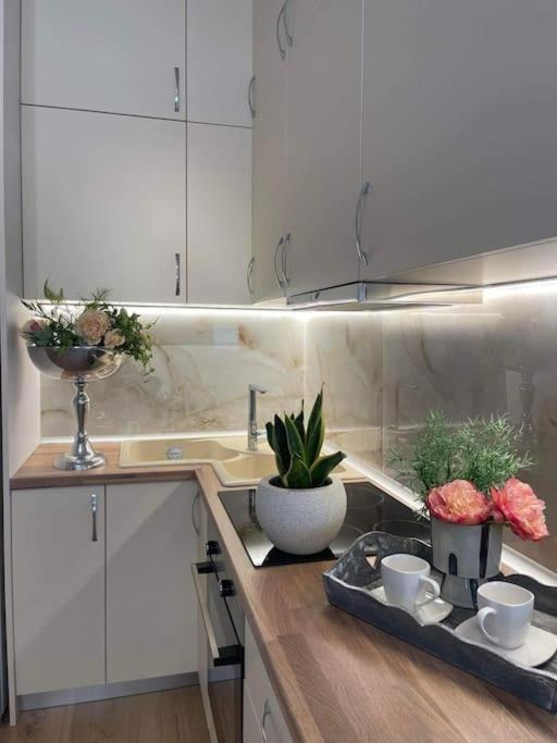 Cozy Studio Στο Κεντρο ลาริซา ภายนอก รูปภาพ